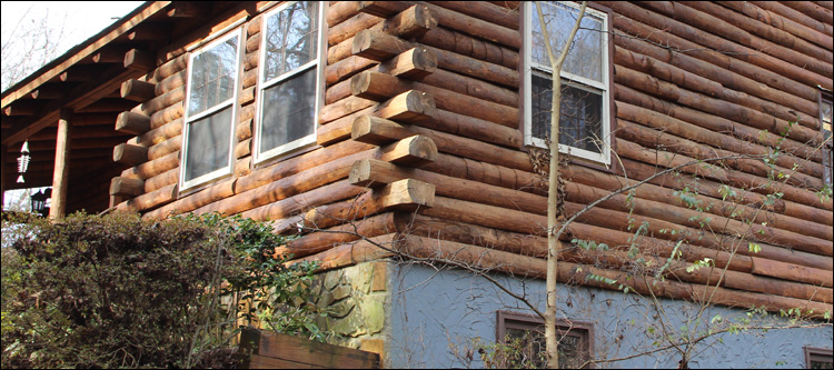 Alabama Log Home Repair Danville, Alabama